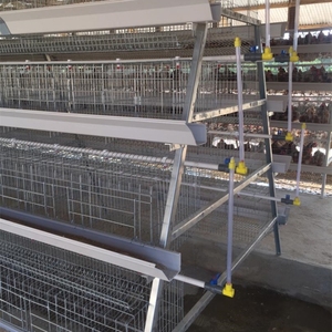 Một loại đặt Coop tùy chỉnh Pin lớp lồng hệ thống sản xuất lâu dài các tính năng một khung lớp lồng gia cầm - Product Image 4