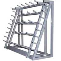 Équipement de fitness très vendu, entraînement musculaire, rack de rangement pour plaques de poids de salle de sport, poids Lesmill, 20 ensembles de rack pour plaques de barre
