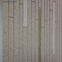 Revêtement mural extérieur poli Linea Modern de luxe, nouvelle construction, panneau en fibro-ciment pré-enduit décoratif 3D