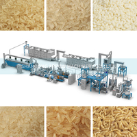 Instant Rice Processing Line Food Extruder Nutrition Rice Machine Fortified Rice Kernel Processing Line
