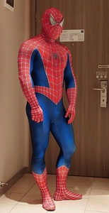 Tuta con Cappuccio di Iron Man e <span class=keywords><strong>Spiderman</strong></span>, Costume da Lavoro, Cosplay di Supereroi TV e Cinema, Abbigliamento per Halloween, Spettacoli e Danza IM173-W5 - Product Image 5