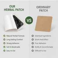 Patch naturel à base de plantes pour soulager la douleur, certifié CE, anti-inflammatoire, soulagement longue durée 24H, chaleur apaisante profonde pour les douleurs corporelles et cervicales