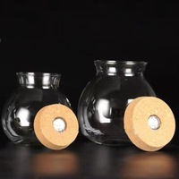 Vente en gros de vase en verre belle Aquascape effet d'éclairage télécommande lumière réglable bel ornement décorations d'intérieur