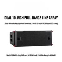 Sistem Audio Speaker Amplifier Profesional LS210 Double 10-inci Neodymium Metal Linear Array Tahan Air 800W