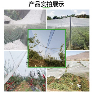 ตาข่ายป้องกันสวนผลไม้ HDPE สำหรับการเกษตรแบบพกพา - Product Image 2