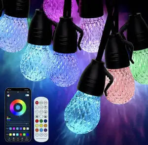 Remote Control & App Shatterproof Waterproof LED String Lights for Outside