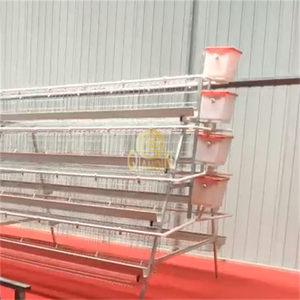 QinaQin Cages de ponte de type A Système d'alimentation de volaille 3 niveaux 96/120 oiseaux Cages de poule à batterie galvanisées de type A - Product Image 4