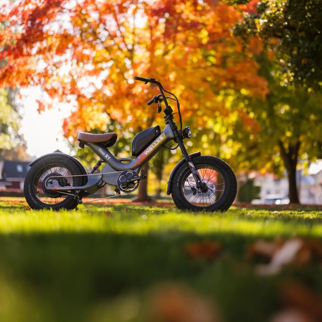 2000W Customized Power 48V Electric Bicycle Ebike for Adults With 48V 30Ah Lithium Battery Mountain Fat Tire Cargo Bike