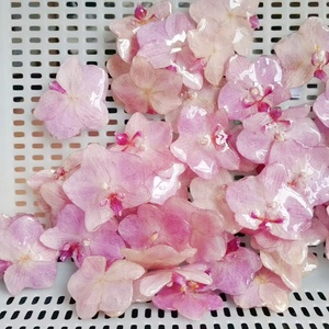 Nuevo Producto Dijes Florales Creativos Hechos a Mano Mini Flor <span class=keywords><strong>Rosa</strong></span> de Resina Epoxi Dijes Colgantes de Orquídea Genuina para Collar y Aretes - Product Image 4