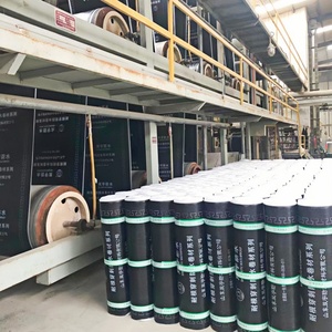 Chất Lượng Cao Sbs Sửa Đổi 3Mm/4Mm Nhựa Đường Nhựa Đường Màng Chống Thấm Nước Cho Mái Ngoài Trời Ao Thiết Kế Hiện Đại 5-Năm Bảo Hành - Product Image 6