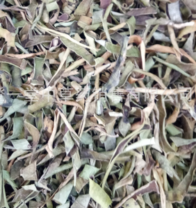 Feuilles d'aloès séchées de haute qualité nouvelles tiges d'<span class=keywords><strong>aloe</strong></span> <span class=keywords><strong>vera</strong></span> naturelles tranchées pour le thé - Product Image 3