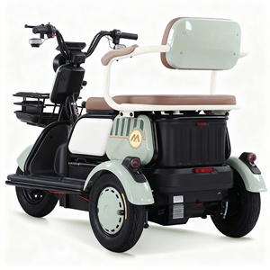 Nouveau tricycle électrique X6 avec siège enfant pliable, moteur 800W, phare et feu arrière LED, différentiel de rickshaw électrique - Product Image 3