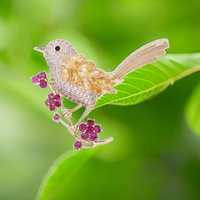 1 pièce Nouvelle Broche Oiseau Tendance pour Femme, Broche Animale Haut de Gamme Incrustée de Diamants, Design de Niche, Accessoire de Costume