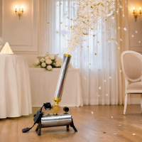 Vente en gros de poudre de confettis en aérosol Télécommande électronique Révélation du sexe Feux d'artifice extérieurs Fête de mariage Fête de remise des diplômes