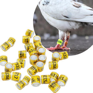 Qa Pluimveehouderij Uitrusting 8Mm Aluminium Vogels Ringduivenpoot Ring Voor Kippenboerderijkuikens Papegaai Kwartelvogels - Product Image 5