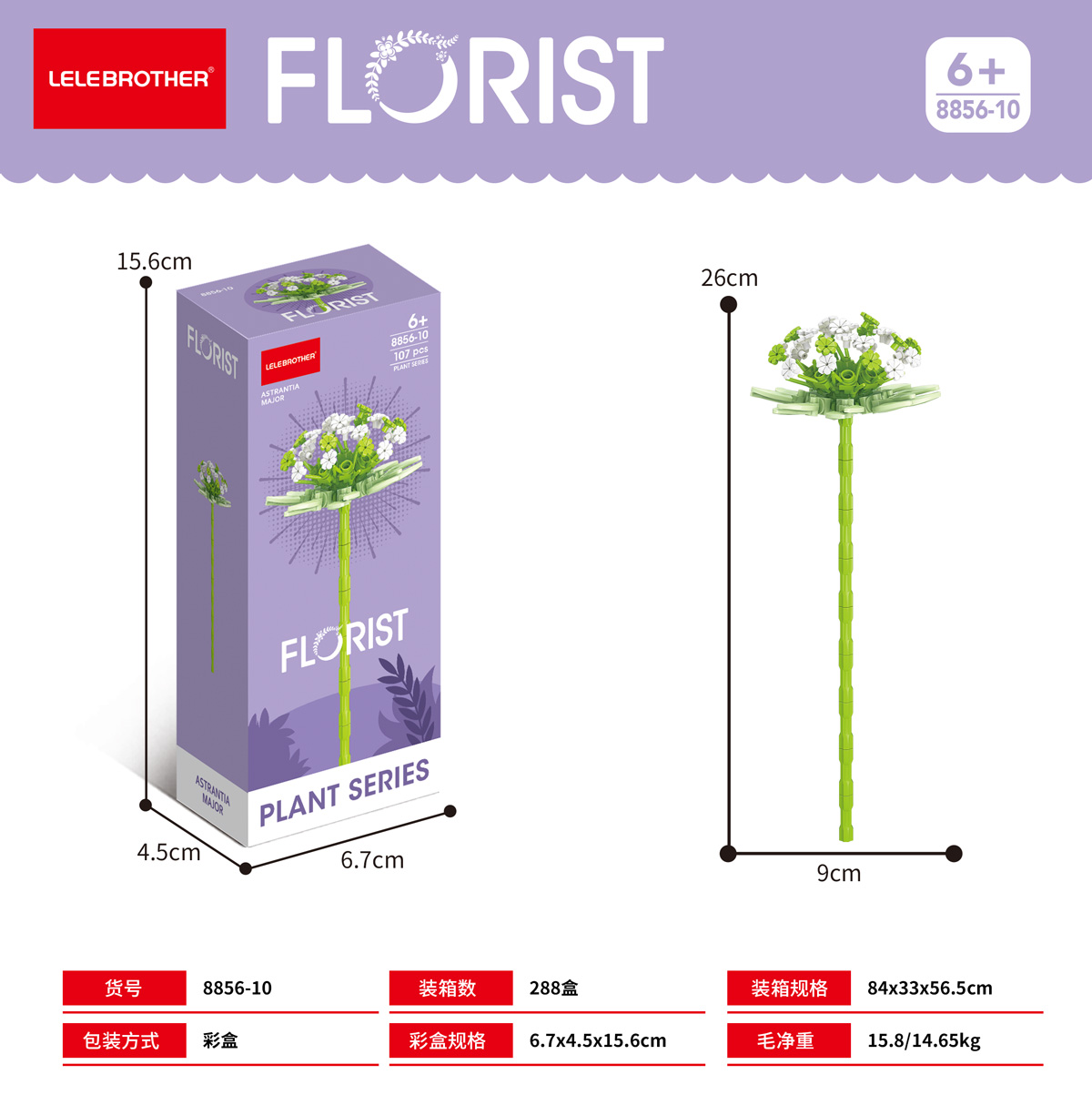 8856-10 Astrantia major 107PCS กล่องสีแพ็ค
