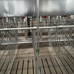 Nueva tecnología innovadora de molde del Grupo Muyuan para prevenir el virus de la PPA para uso en cerdos - Product Image 1