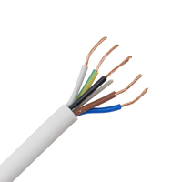 Rvv Rvvb Bvr Flexibler Kupferleiter PVC-Beschichtetes Elektrokabel