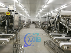 Máquina Automática para Clasificar Camarones, Pelar Camarones, Lavar Langostinos Frescos, Máquina de Clasificación por Rodillos, Clasificadora de Camarones - Product Image 3