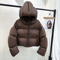 Blousons d'hiver matelassés et rembourrés pour femmes, personnalisés, écologiques, imperméables, en toile teinte, coupe courte, à capuche, épais