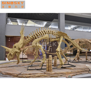 Fossiles <span class=keywords><strong>de</strong></span> dinosaures Liopleurodon artificiels, <span class=keywords><strong>simulation</strong></span> <span class=keywords><strong>de</strong></span> T-rex, squelette <span class=keywords><strong>de</strong></span> dinosaure, exposition muséale, exposition d'amusement, DINOSKY - Product Image 1