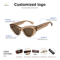 Haute qualité classique rétro oeil de chat tortue acétate lunettes de soleil Logo personnalisé en gros mode lunettes de soleil pour les femmes