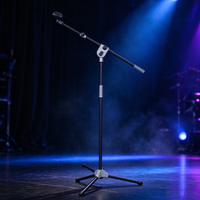 Microphone de karaoké extérieur avec trépied réglable, pour enregistrement en direct, support de microphone sur pied