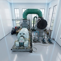 Groupe électrogène à turbine à vapeur sur mesure pour la production d'électricité industrielle et l'utilisation de l'énergie vapeur