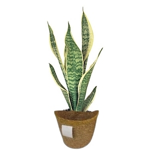 Ensemble de 9 suspensions pour plantes en macramé écologiques, contemporaines, en corde tressée de 1 gallon, supports pour plantes, jardinage quotidien, SC ECOMMERCE Italie - Product Image 3