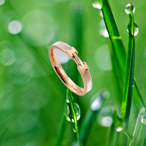 न्यूनतम एच सफेद शेल स्टेनलेस स्टील की अंगूठी ठंडा शैली गुलाब सोने की अंगूठी इंटरनेट सेलिब्रिटी फैशन हॉट गहने - Product Image 5