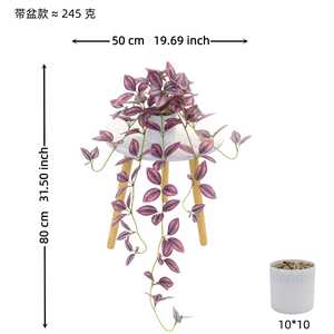 Plante artificielle An Yun en forme d'araignée, 80 cm, plante grimpante en soie, décoration intérieure, vert, rose, rouge, vert foncé, avec ou sans pot - Product Image 5