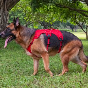 Stock 2024 Hot Sale OEM/ODM Scape Proof Hunde geschirr für kleine mittelgroße Hunde Walking Hiking Training - Product Image 1