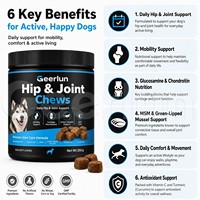 Complément alimentaire OEM en gros pour la mobilité et la flexibilité des animaux de compagnie, à base de glucosamine, chondroïtine et curcumine, pour les articulations des chiens, sous forme de friandises à mâcher souples