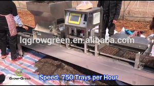 Machine <span class=keywords><strong>de</strong></span> semis automatique, pour pépinière, plantes <span class=keywords><strong>de</strong></span> <span class=keywords><strong>fraises</strong></span>, <span class=keywords><strong>de</strong></span> tomates, <span class=keywords><strong>de</strong></span> légumes et semis - Product Image 6