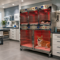 Cage d'oxygénation infrarouge professionnelle pour chiens, chats et lapins avec affichage numérique de la température