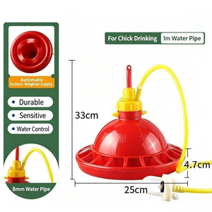 Bebedero automático <span class=keywords><strong>de</strong></span> plástico <span class=keywords><strong>para</strong></span> pollitos, canal <span class=keywords><strong>de</strong></span> <span class=keywords><strong>agua</strong></span> <span class=keywords><strong>de</strong></span> nueva condición <span class=keywords><strong>para</strong></span> incubadora <span class=keywords><strong>de</strong></span> aves <span class=keywords><strong>de</strong></span> corral, herramientas agrícolas - Product Image 2