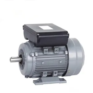 Fabrika fiyat 100% Cooper 750W indüksiyon motoru 1400RPM tek fazlı Fan motoru 1HP MY8024 pompalar ve makineleri