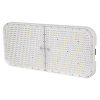 Geavanceerde 800W instelbare spectrum LED kweeklampen voor verbeterde roosgroei in kas- en tuinbouwverlichting