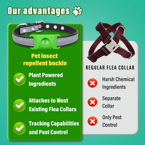 Etiqueta de perro gris verde, prevención de pulgas y garrapatas <span class=keywords><strong>para</strong></span> perros-Colgante impermeable <span class=keywords><strong>para</strong></span> <span class=keywords><strong>collar</strong></span>, seguro <span class=keywords><strong>para</strong></span> todas las razas - Product Image 5