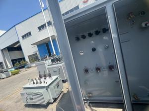Transformateur de distribution extérieur triphasé de type américain 3 phases 10 kV 440 V 300 kVA 60 Hz monté sur socle, certifié IEC60076 - Product Image 5