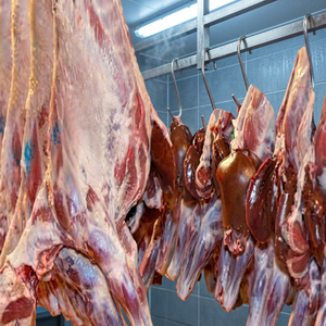 PRECIO AL POR MAYOR Carne de Cordero/Oveja/Cabra Halal Congelada - Product Image 2
