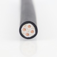 Câble de chaîne de traînage Conducteur en cuivre Isolation en PVC Souple Élastique Flex Index Marque LIBIN NBR-JTV 4x2.5 Modèle -40~105 Fonctionnement
