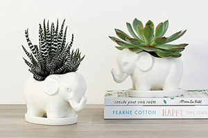 TGYW Dropshipping Pots à succulentes en <span class=keywords><strong>céramique</strong></span> en forme d'éléphant, jardinières pour plantes d'intérieur et d'<span class=keywords><strong>extérieur</strong></span>, <span class=keywords><strong>cactus</strong></span> - Product Image 6