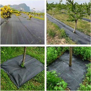 Toile de paillage plastique anti-UV de qualité supérieure à prix imbattable pour le contrôle des mauvaises herbes et la gestion des espaces verts - Product Image 6