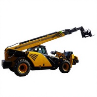 Sollevatore Telescopico Diesel 4WD TOBETER TR1035, 3,5 Tonnellate, Altezza di Sollevamento 9,6m, Carrello Elevatore Fuoristrada per Uso Agricolo