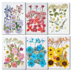 Dried <strong>Flower</strong> Embossing Wholesale Internet Celebrity Face Decoration Fairy Makeup Bridal Makeup Girl Photo Diy Real <strong>Flower</strong> <strong>Press</strong> - Product Image 5
