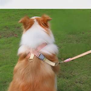 Yüksek Kaliteli Moda Kumaş Evcil Hayvan Tüy Dökülmesini Önleyici Nefes Alabilen Rahat Ayarlanabilir Köpek Yürüyüş Tasması - Product Image 1