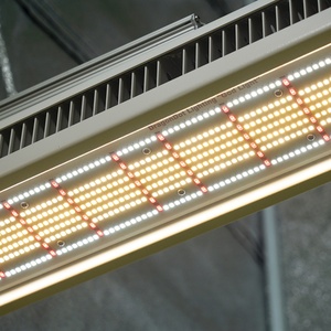 Invernadero Interior, Simulación PTU, Luces de Cultivo Hidropónico de 1000W para Cultivo Profesional de Plantas - Product Image 3