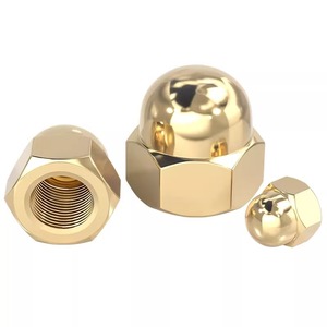 Tianzhuo Hardware Brass Cap Nuts M3 M4 M5 M6 M8 M20mm Durable Bright Finish Household Decorative Seals - Product Image 1