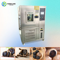 Machine de Fermentation d'Ail Noir à Fonctionnement Stable, Équipement Intelligent de Fermentation d'Ail Noir avec Contrôle PLC